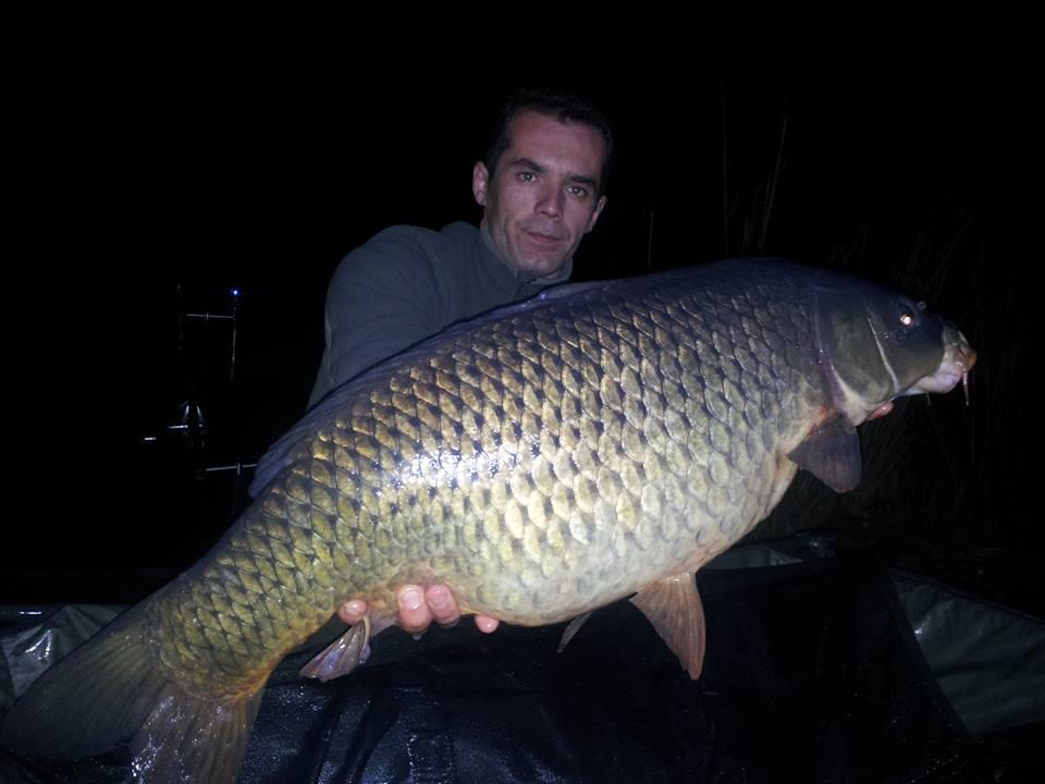 Tancabesti 28 - 29 mar. - 10152867660170097364128844561596n.jpg